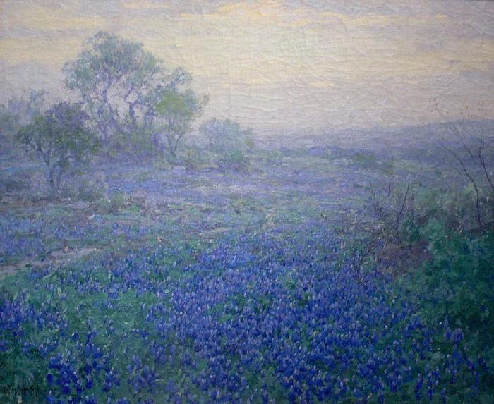 Julian Onderdonk Cloudy Day. Bluebonnets near San Antonio, Texas oil painting picture